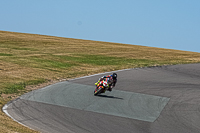 anglesey-no-limits-trackday;anglesey-photographs;anglesey-trackday-photographs;enduro-digital-images;event-digital-images;eventdigitalimages;no-limits-trackdays;peter-wileman-photography;racing-digital-images;trac-mon;trackday-digital-images;trackday-photos;ty-croes